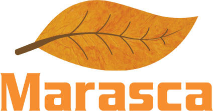 Marasca